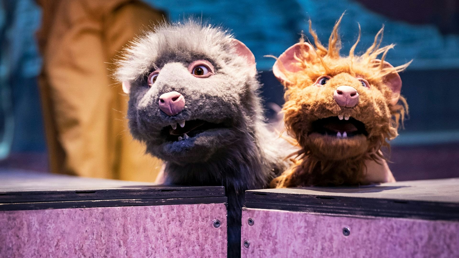 Muskeltiere_05_web.jpg